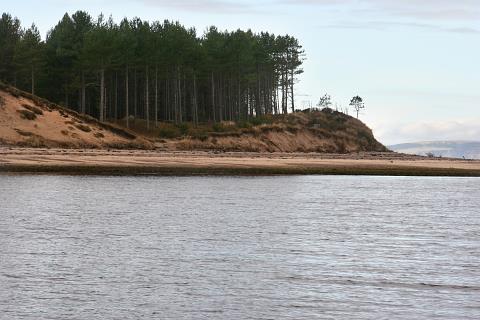 Culbin Forest and Coast