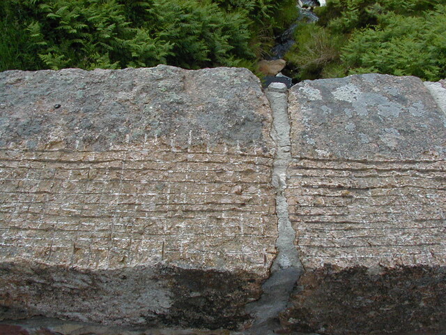 NC70SE0063 - EM19.JPG