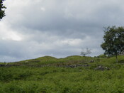 NC71SE0002 - EM24.JPG