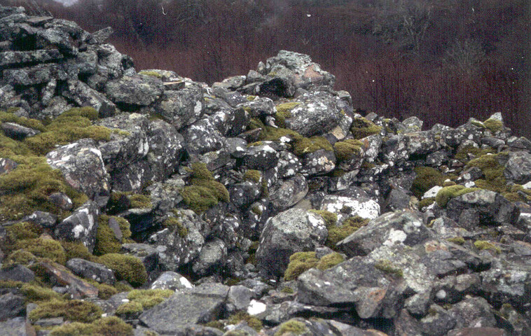 NC71SE0003.jpg