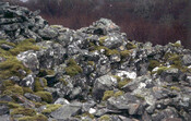 NC71SE0003.jpg
