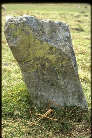 NC74NW0002 - 'Red Priest's Stone', 500m NNE of Skail, Strathnaver.jpg