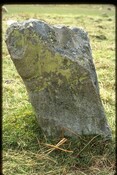 NC74NW0002 - 'Red Priest's Stone', 500m NNE of Skail, Strathnaver.jpg