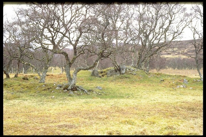NC74NW0004 - Chambered Cairn, Skail 1.jpg