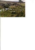 NC01SW0038CP01.pdf