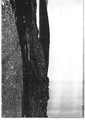 NC10SW0001BW01.pdf