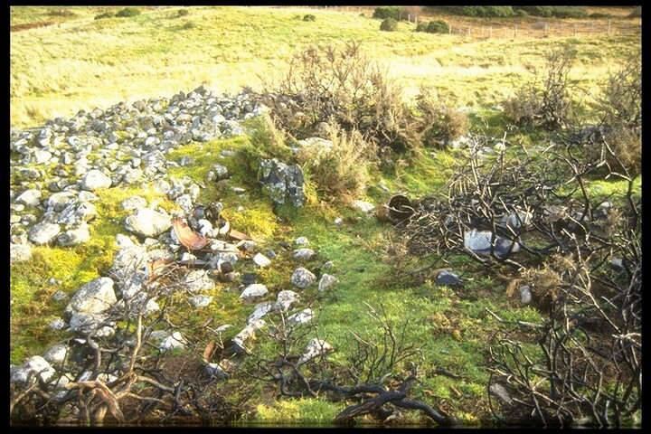 NC75NW0009 - Chambered Cairn, Skelpick 3.jpg