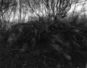 NC75NW0030 - Chambered Cairn.jpg