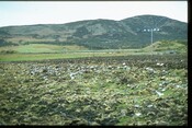 NC75NW0095 - Longhouse after ploughing, Skelpick, Strathnaver 1.jpg