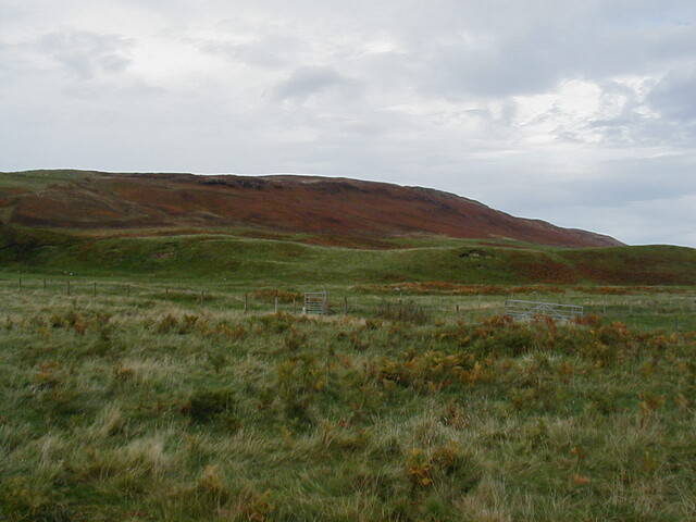 NC75SW0021HAW2.JPG