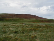 NC75SW0021HAW2.JPG