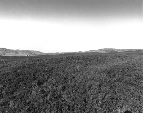 NC75SW0024 - Field System & Hut Circle_02.jpg