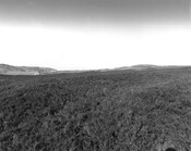 NC75SW0024 - Field System & Hut Circle_02.jpg