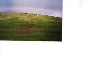 NC36NE0019CP01a.pdf