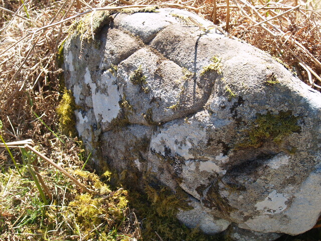 NC76SW0009  - 273965 962771 - HC2 - 2.JPG