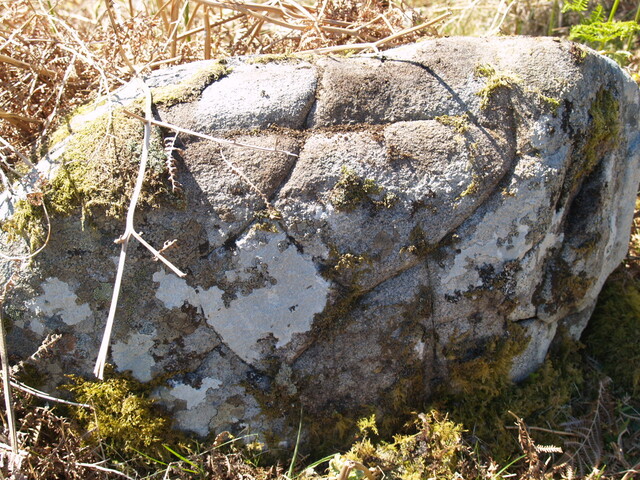 NC76SW0009  - 273965 962771 - HC2 - 3.JPG