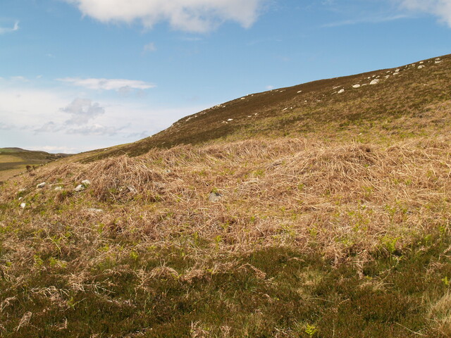 NC76SW0009 - 274041 962826 - HC4 - 2.JPG