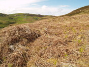 NC76SW0009 - 274041 962826 - HC4 - 3.JPG