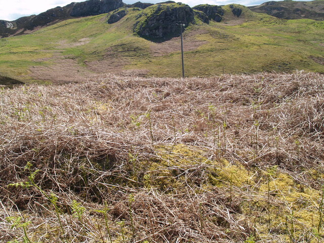NC76SW0009 - 274123 962758 - HC3 - 1.JPG