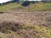 NC76SW0009 - 274123 962758 - HC3 - 1.JPG