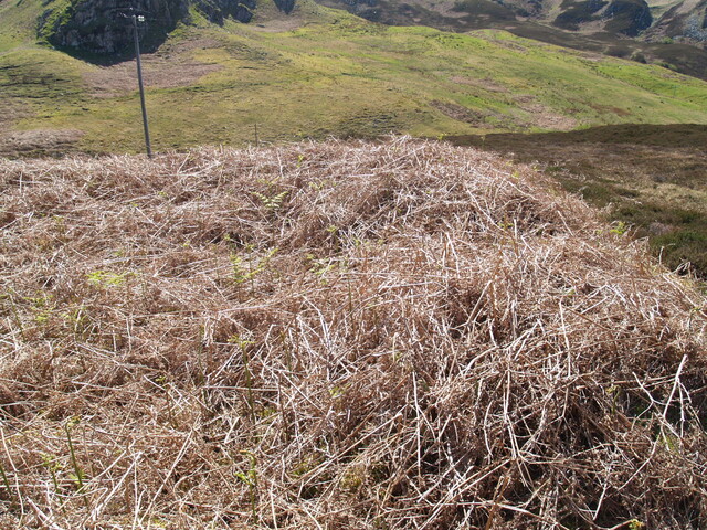 NC76SW0009 - 274123 962758 - HC3 - 2.JPG