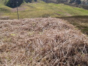 NC76SW0009 - 274123 962758 - HC3 - 2.JPG