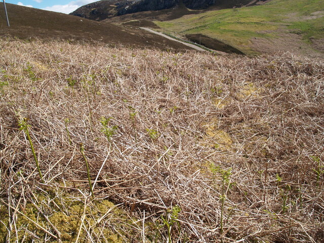 NC76SW0009 - 274123 962758 - HC3 - 3.JPG