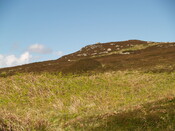 274298 962602 - Hut Circle & Clearance Cairn AJP_06.JPG