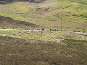 NC76SW0009 - 274298 962602 - Hut Circle, West Swordly AJP_02.JPG