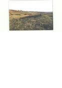 NC50NE0143CP01.pdf
