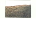 NC50NE0144CP01.pdf