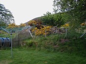 NC80NE0131 - 1.JPG