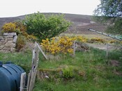 NC80NE0131 - 2.JPG