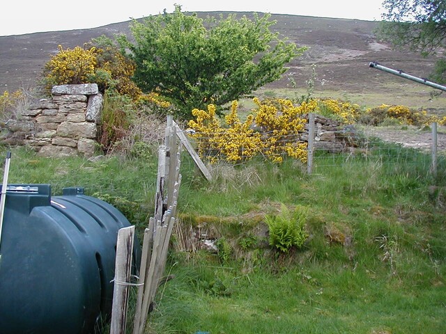 NC80NE0131 - 4.JPG