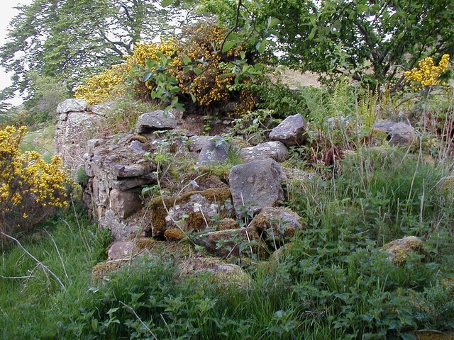 NC80NE0131 0 6.JPG