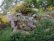 NC80NE0131 0 6.JPG