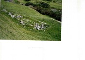 NC76SE0021CP01.pdf