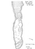 NC76SW0002OR01.pdf