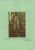 NC80SE0002OR01.pdf