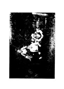 NC80SE0091BW01.pdf