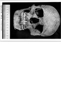 NC80SW0018BW03.pdf