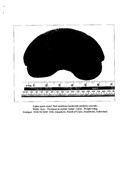 NC81SW0237BW01.pdf