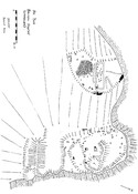 NC86NE0002PL01.pdf