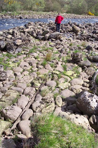 NC80SE0120 - Salmon Cruivie Dyke.JPG