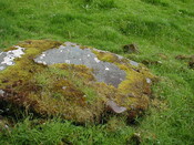 NC80SW0004 - EM1.JPG