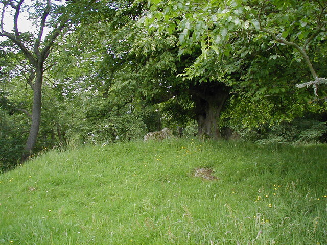 NC80SW0004 - EM2.JPG