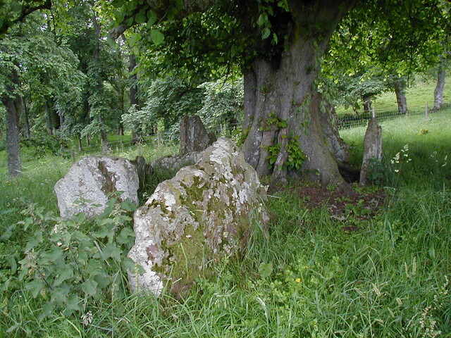NC80SW0004 - EM3.JPG