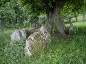 NC80SW0004 - EM3.JPG