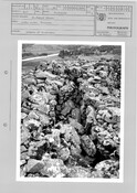 NC91NE0027A-BBW02.pdf