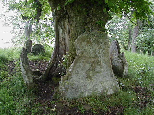 NC80SW0004 - EM4.JPG